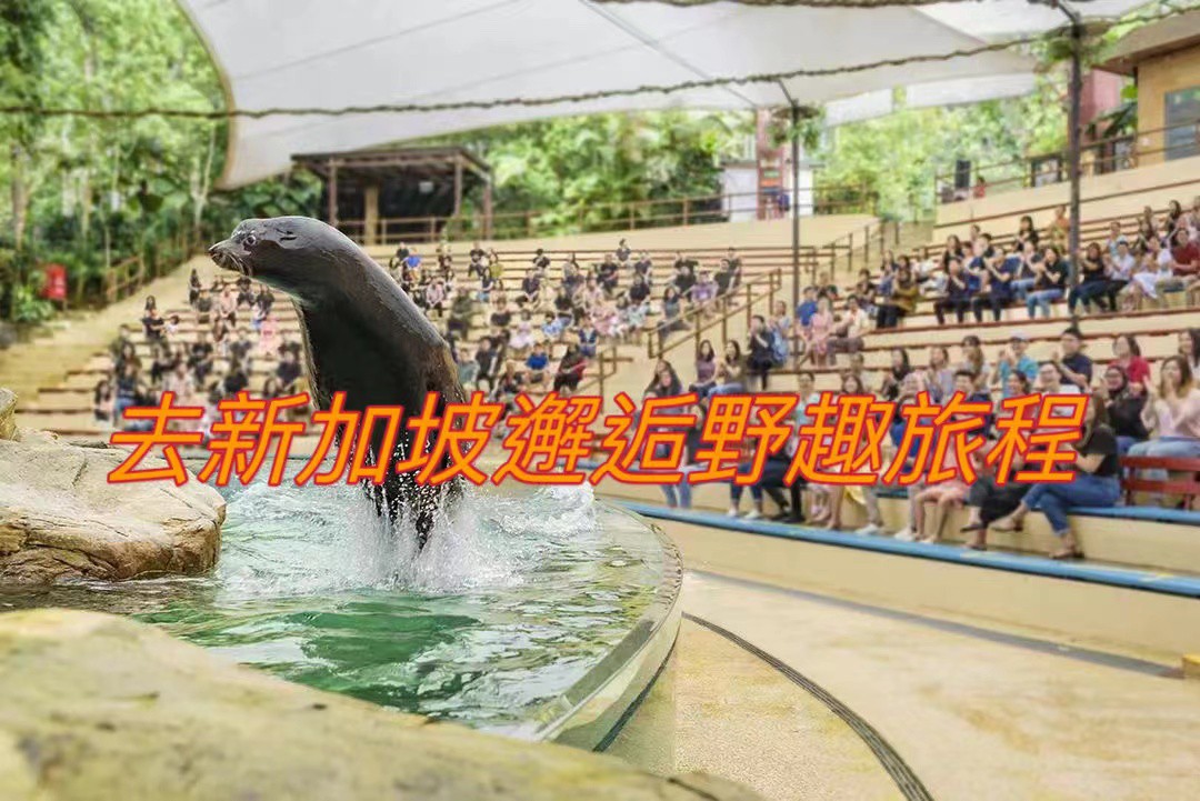 一日玩转新加坡动物园和河川生态园,这份攻略请收好
