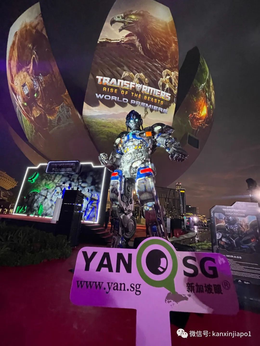 新加坡眼微信公众即将回归!公司招人中