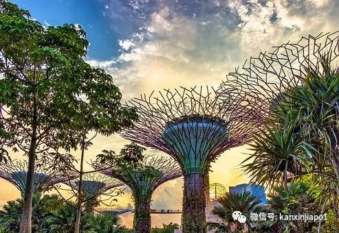 暴涨300%！新加坡上半年入境旅客有628万