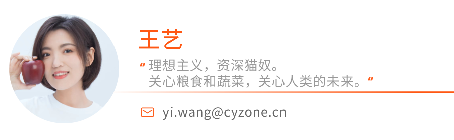 这个新加坡华裔，从大厂“螺丝钉”做到Sam Altman的继承人