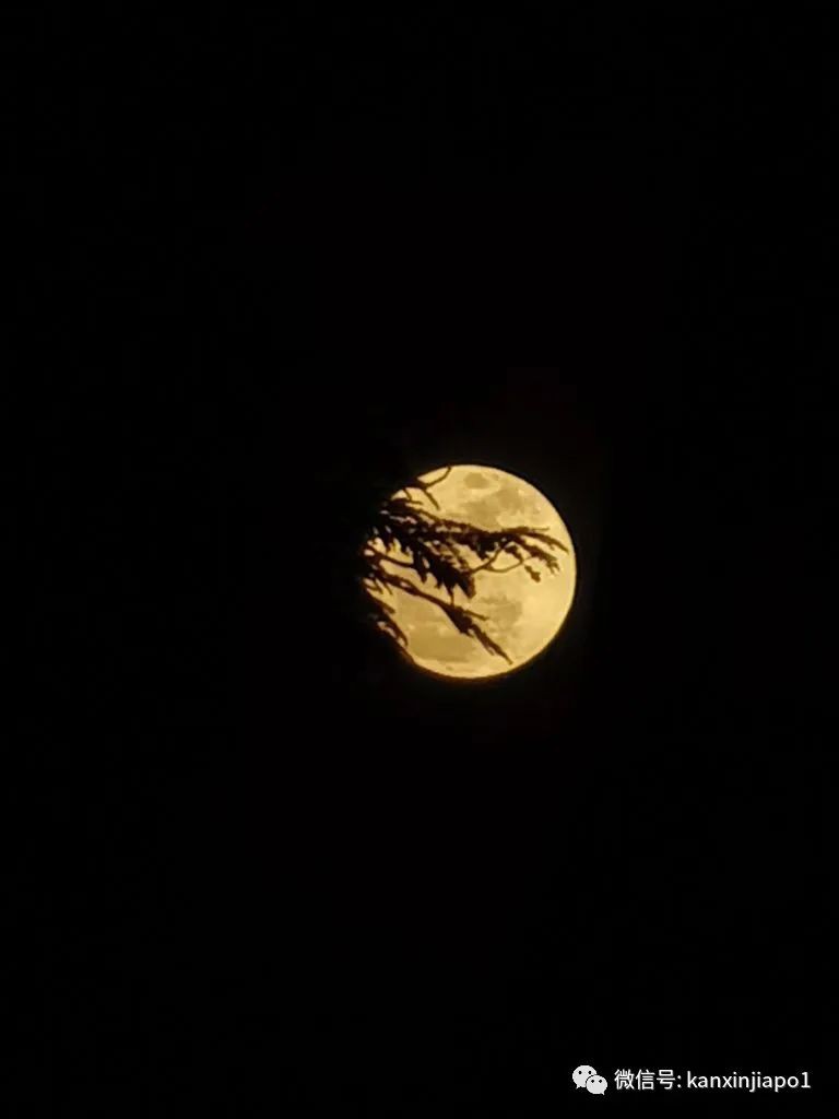 新加坡夜空出现超级月亮!今年最后一次在月底