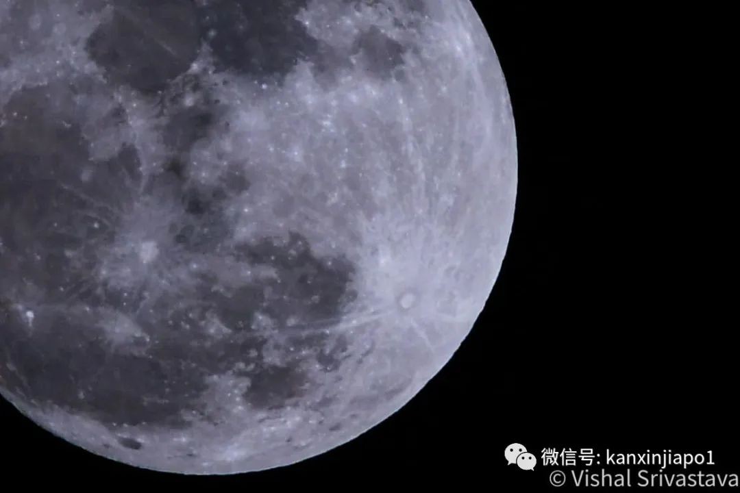 新加坡夜空出现超级月亮!今年最后一次在月底