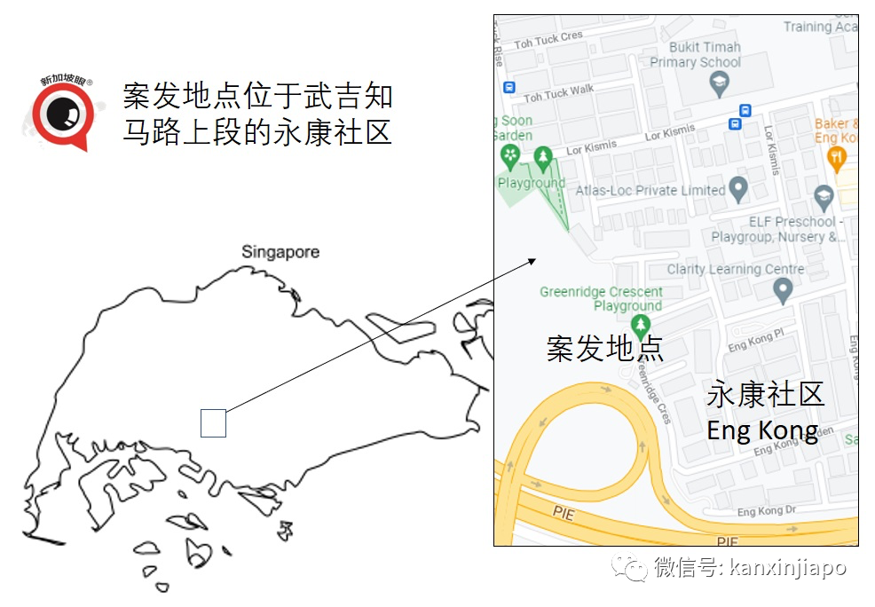 担心特需儿被人欺负，新加坡抑郁症父亲勒死双胞胎！自杀未遂，法院今下判