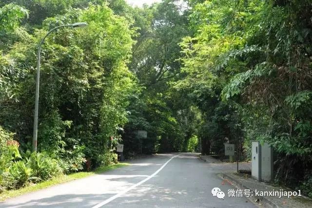 当房产与墓地相遇，华人在新加坡买房还看重这一点