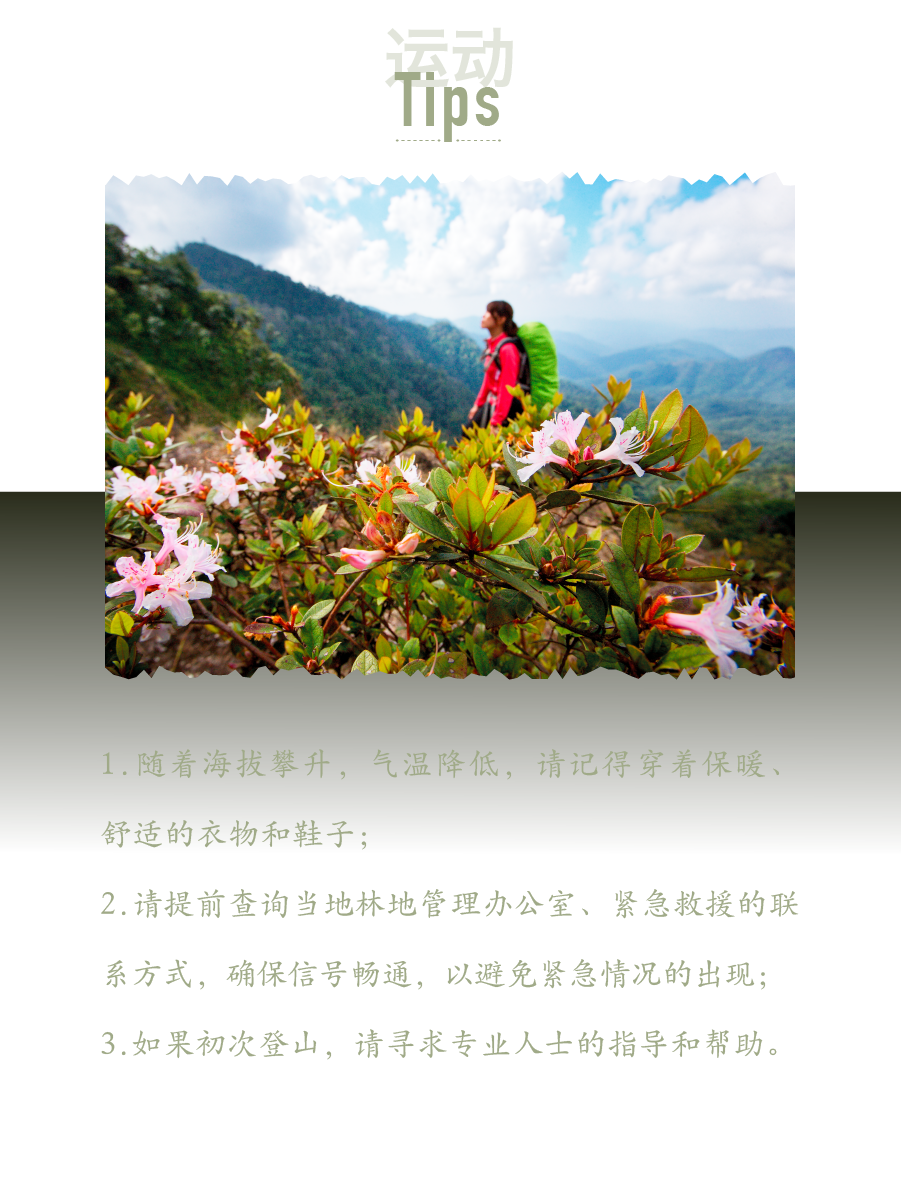 骑行、潜水、马拉松...换个方式认识神奇泰国