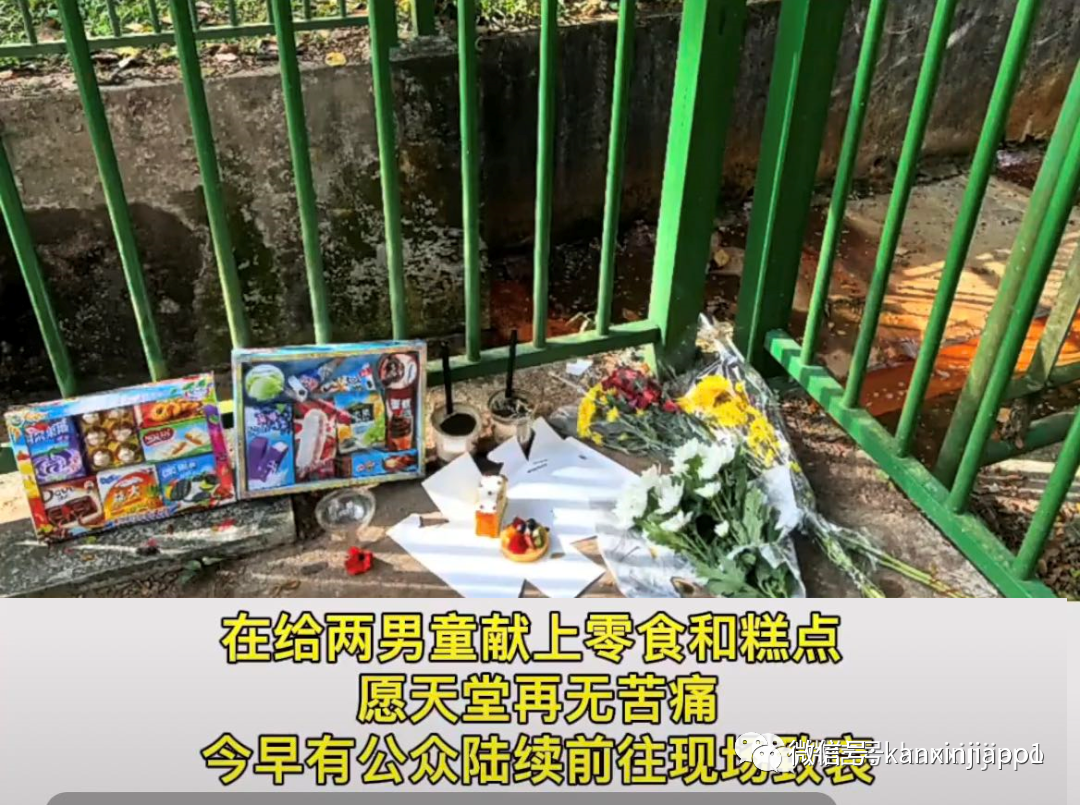 担心特需儿被人欺负，新加坡抑郁症父亲勒死双胞胎！自杀未遂，法院今下判