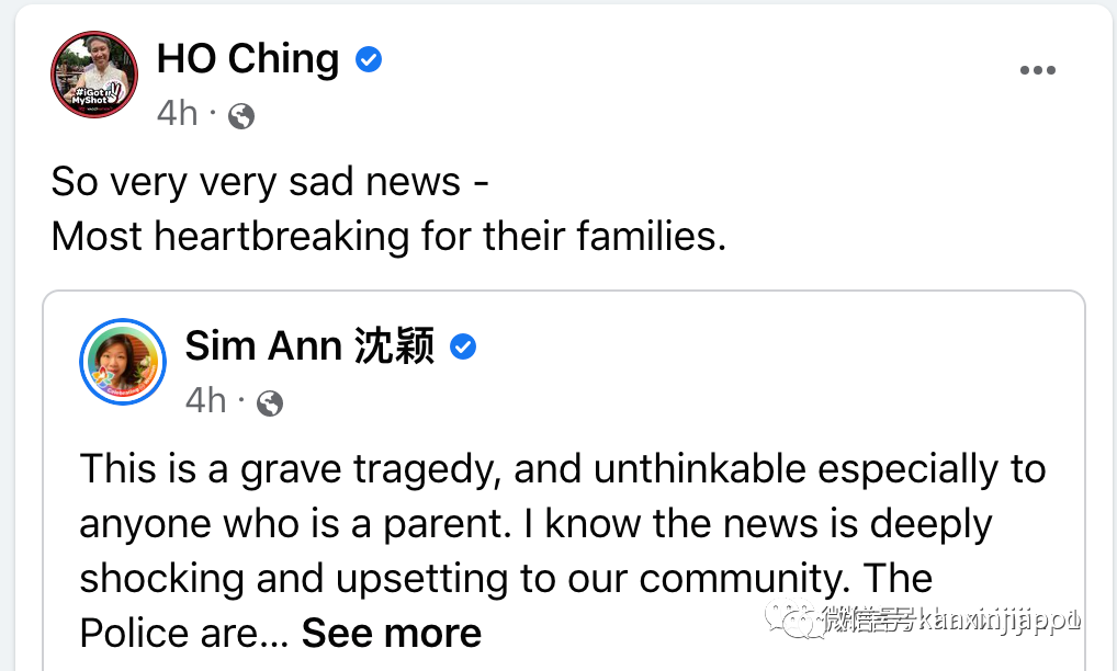 担心特需儿被人欺负，新加坡抑郁症父亲勒死双胞胎！自杀未遂，法院今下判