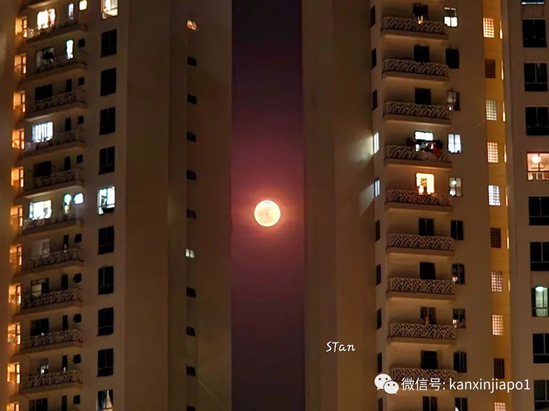 新加坡夜空出现超级月亮!今年最后一次在月底