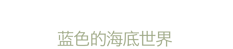 骑行、潜水、马拉松...换个方式认识神奇泰国
