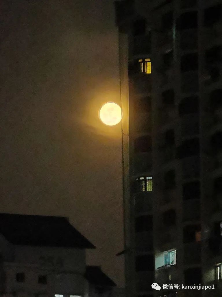 新加坡夜空出现超级月亮!今年最后一次在月底