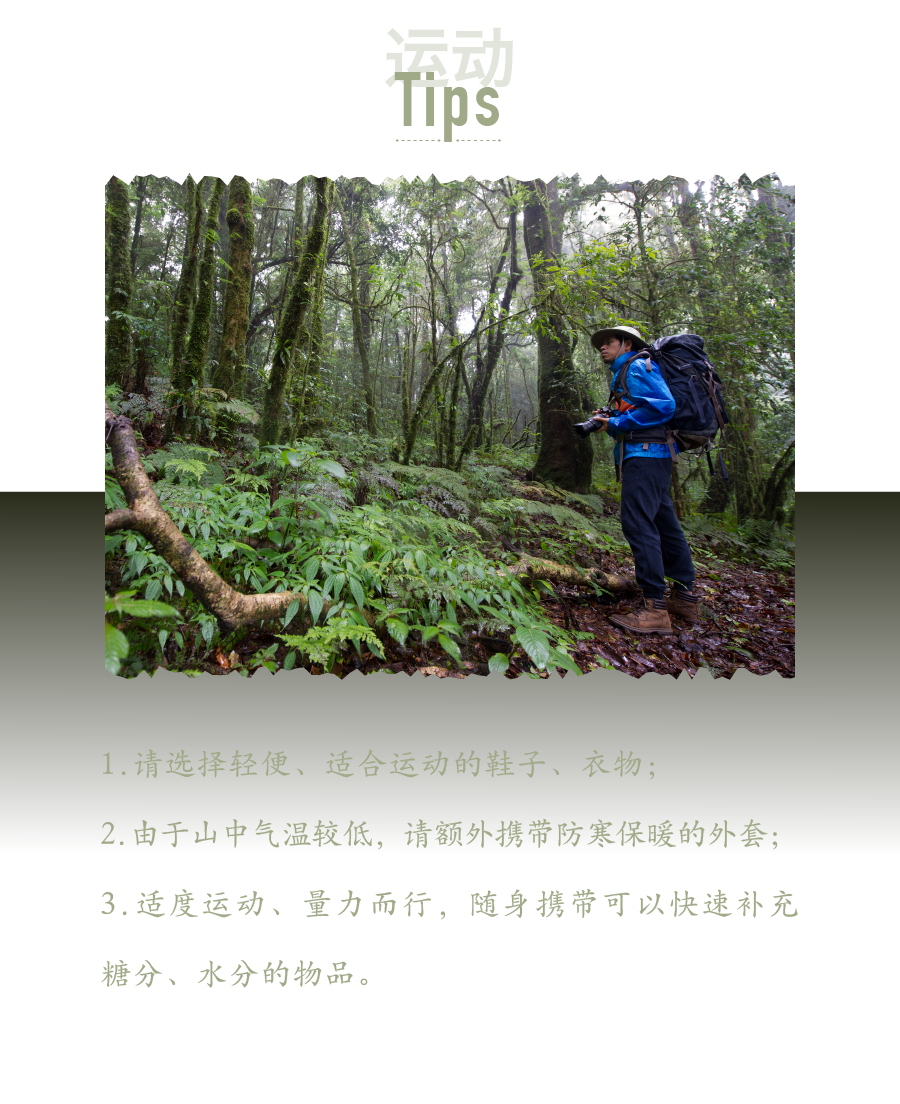 骑行、潜水、马拉松...换个方式认识神奇泰国