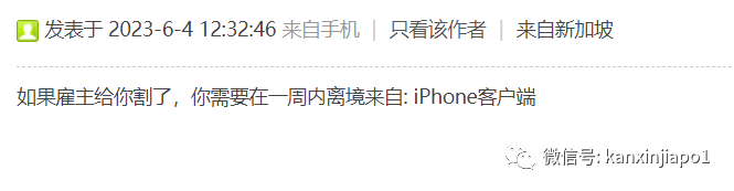 雇主不办WP准证,可以在新加坡待多长时间?