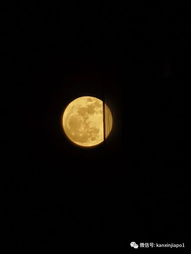新加坡夜空出现超级月亮!今年最后一次在月底