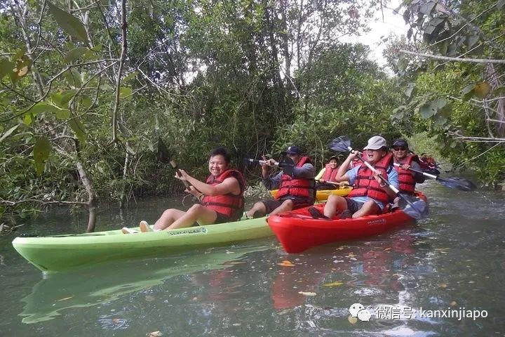 “曾游过中国的大江大河,却最爱新加坡南大游泳池”
