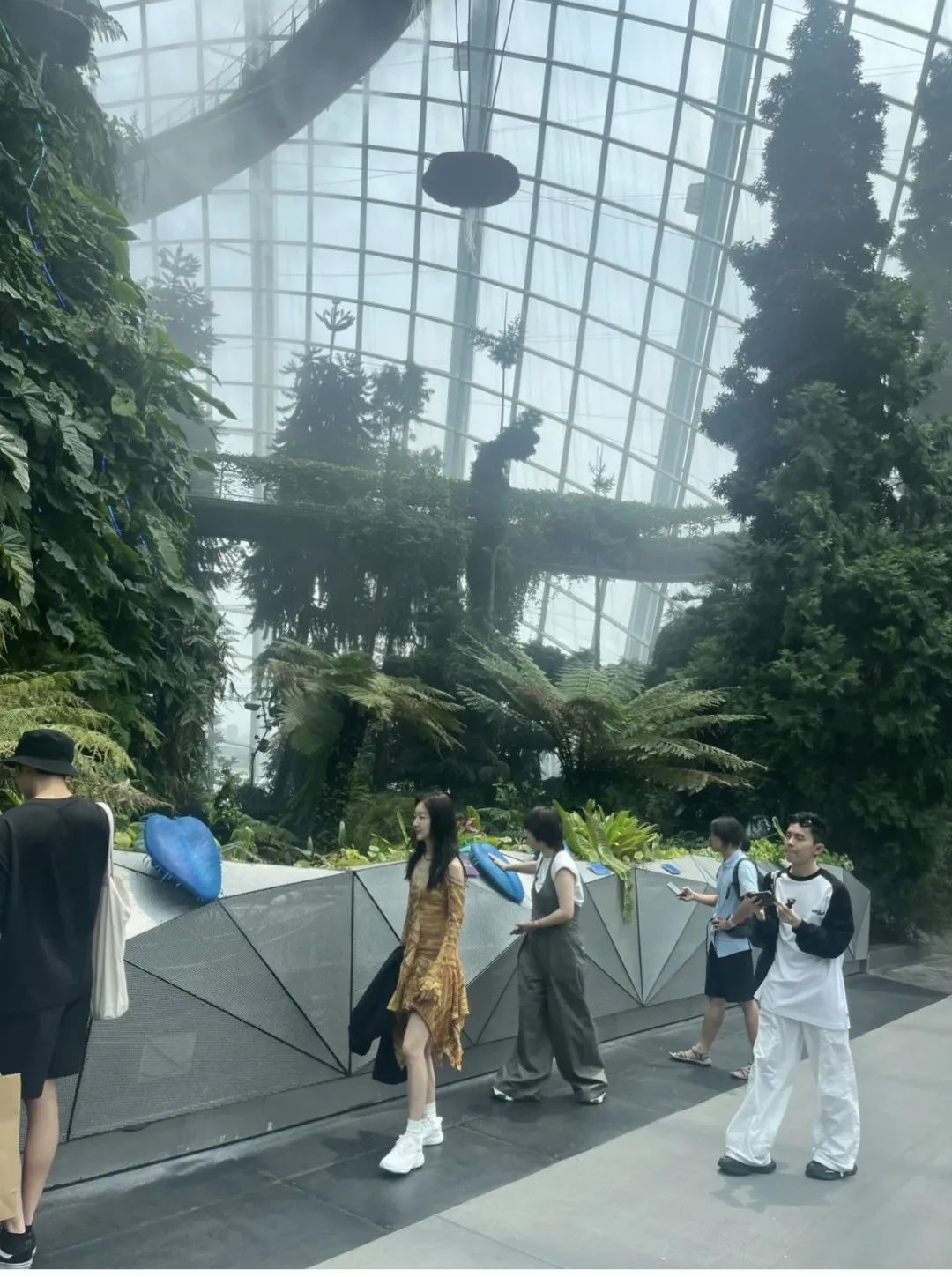 周冬雨来新加坡了！网友在这些地方偶遇了她