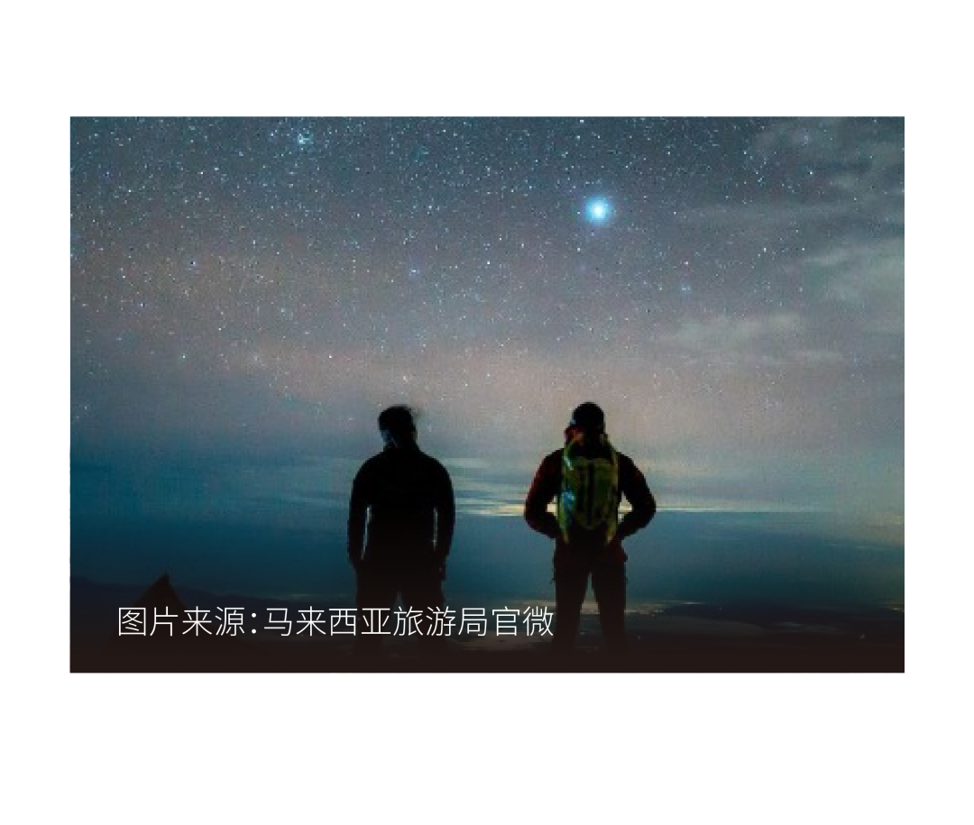 “海岛放飞”保姆级攻略大放送，一键收藏