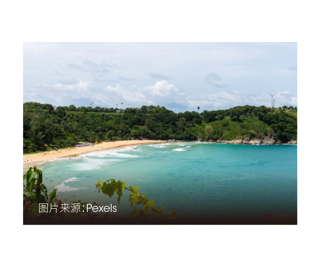 “海岛放飞”保姆级攻略大放送，一键收藏