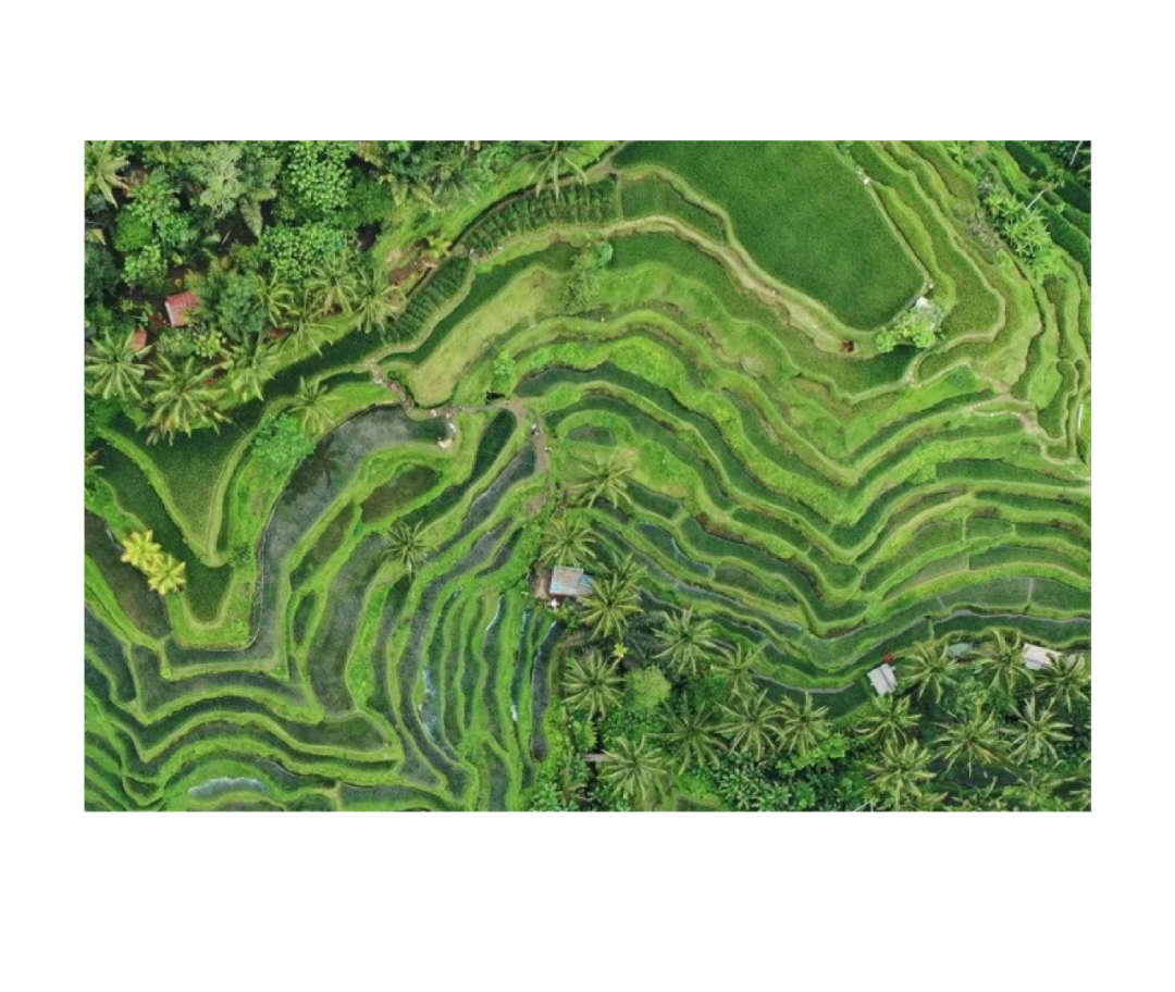 “海岛放飞”保姆级攻略大放送，一键收藏