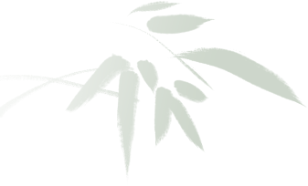 中资企业家齐聚中秋晚会，畅谈出海新加坡的行业动向