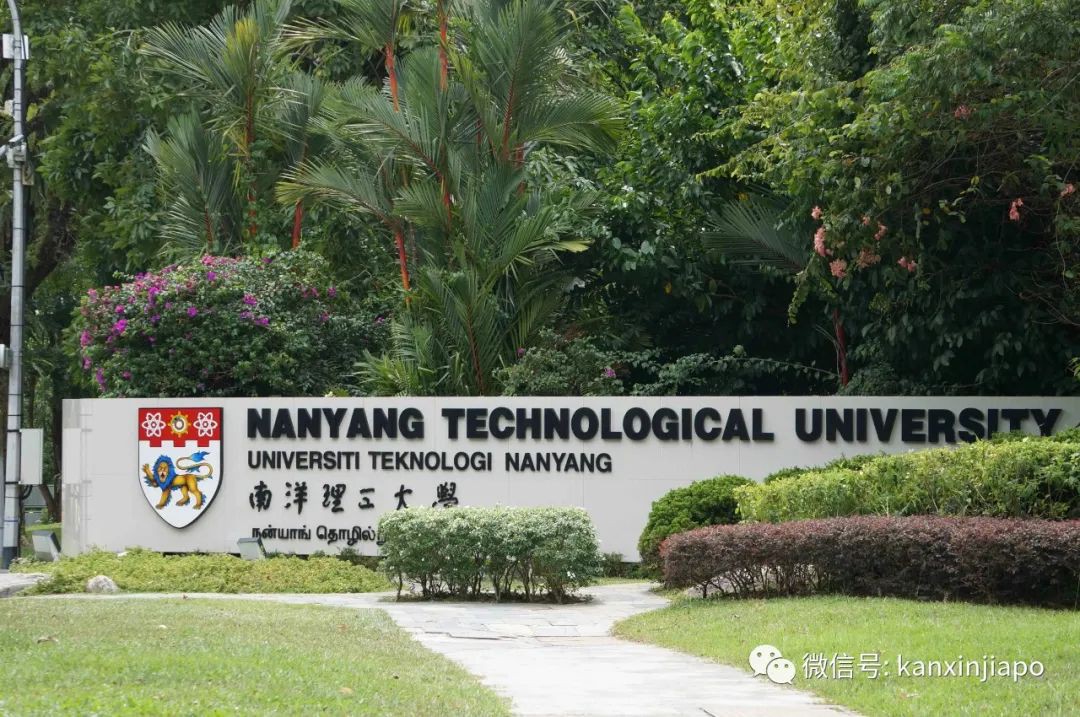 “曾游过中国的大江大河,却最爱新加坡南大游泳池”