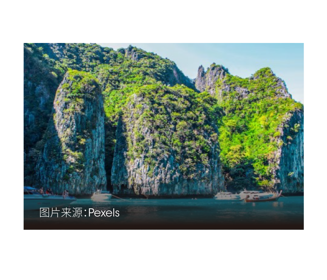 “海岛放飞”保姆级攻略大放送，一键收藏