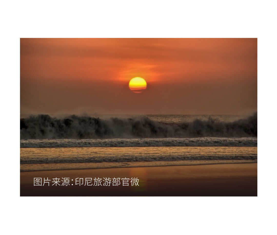 “海岛放飞”保姆级攻略大放送，一键收藏