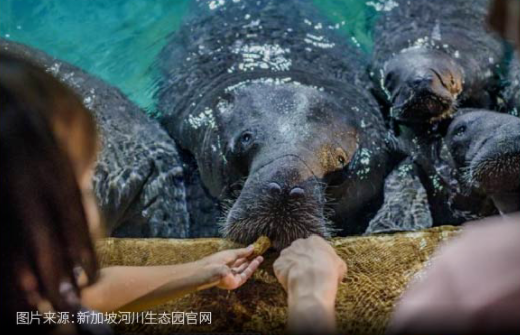 限时6天!中国多地飞新加坡单程388元人民币起