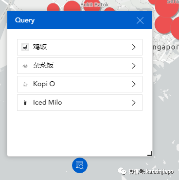 西兰花卖肉价、薯饼卖鱼价,新加坡杂菜饭越来越离谱!哪家摊位最便宜?攻略来了