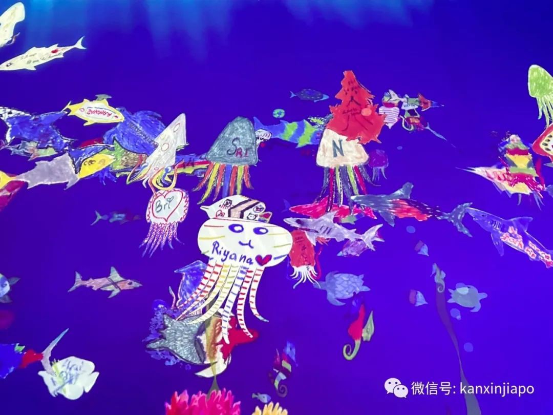 滨海湾的“白莲花” ——世界首个艺术科学相结合的博物馆