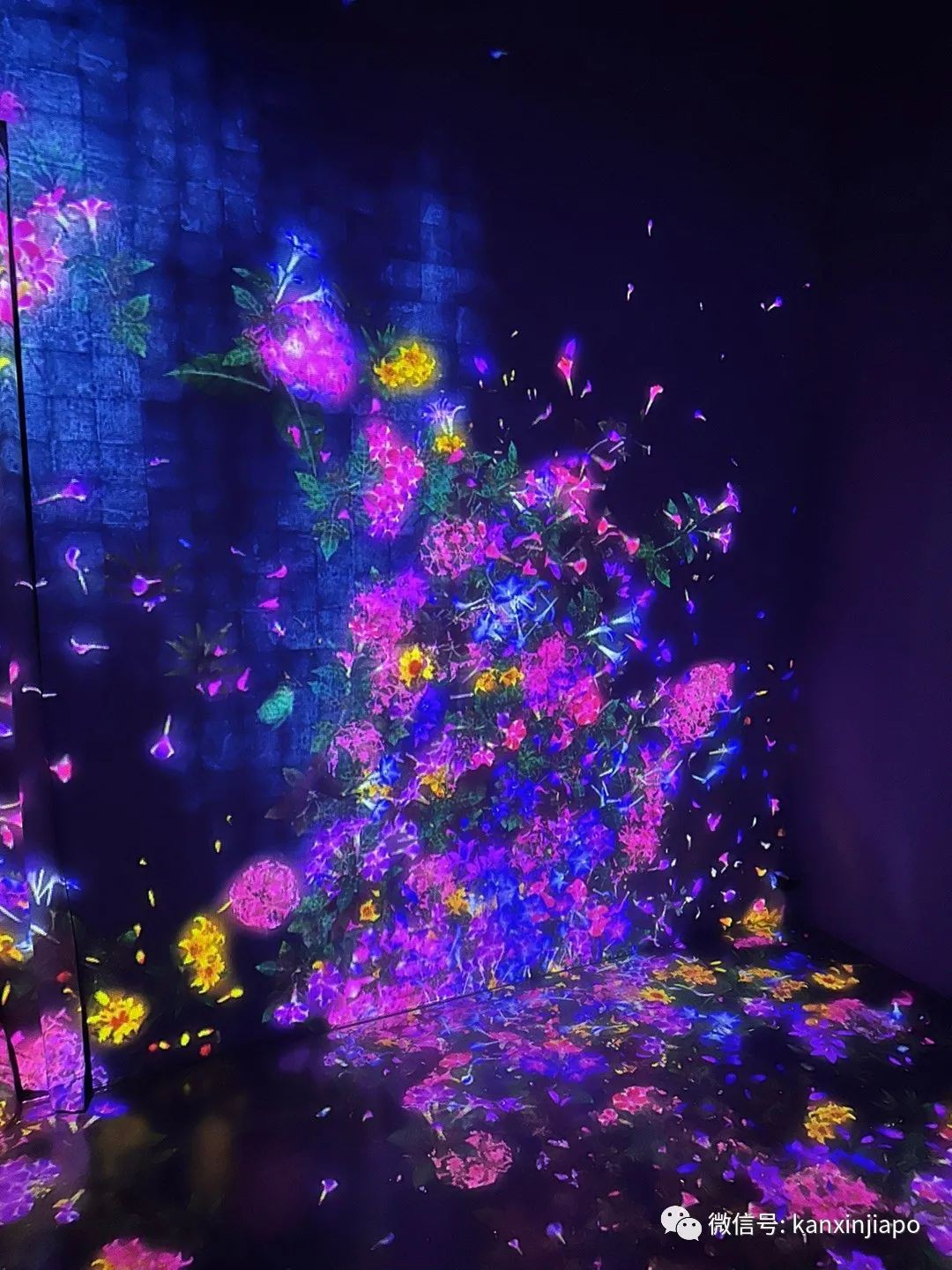 滨海湾的“白莲花” ——世界首个艺术科学相结合的博物馆