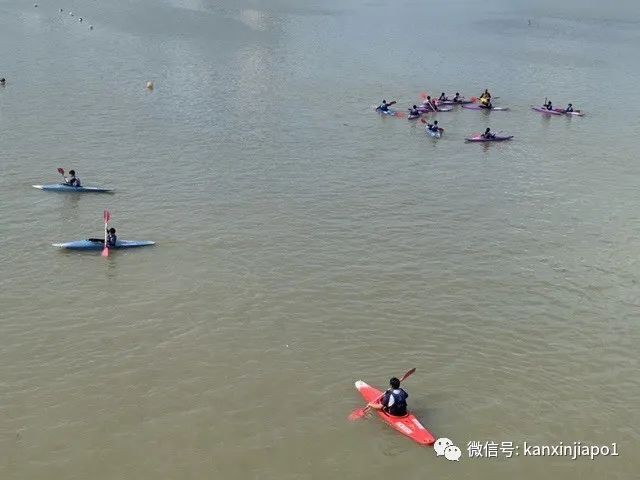 在新加坡最长的大桥上徒步是什么体验？