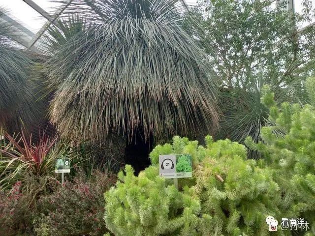 红树林、荷花池、水族缸...免费游滨海湾花园可以看这么多