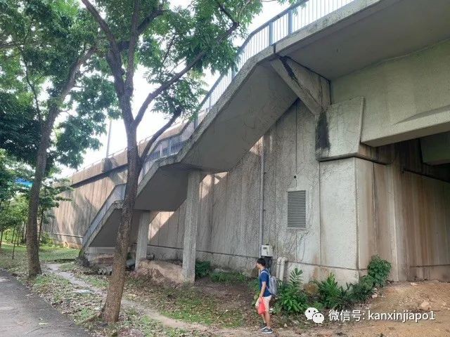 在新加坡最长的大桥上徒步是什么体验？