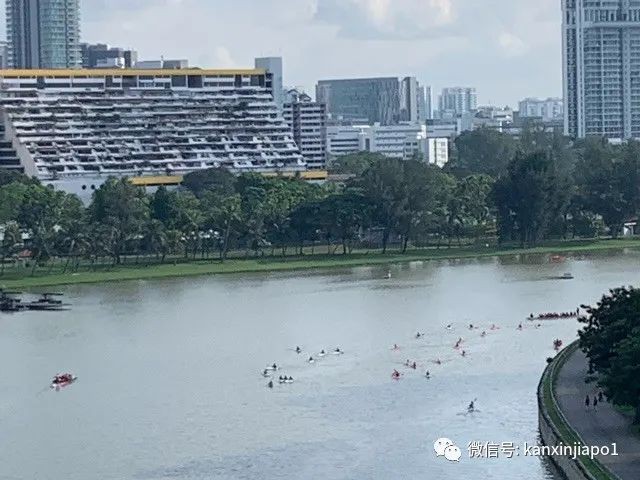 在新加坡最长的大桥上徒步是什么体验？