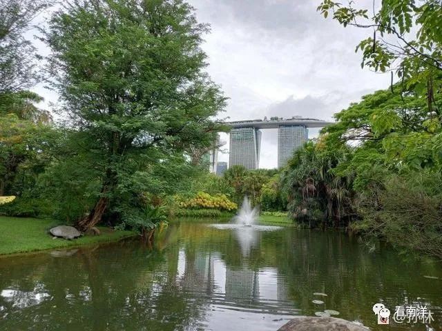 红树林、荷花池、水族缸...免费游滨海湾花园可以看这么多
