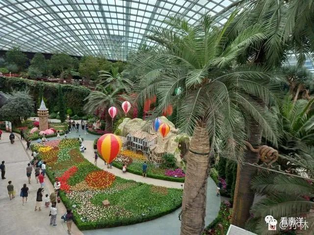 红树林、荷花池、水族缸...免费游滨海湾花园可以看这么多