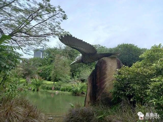红树林、荷花池、水族缸...免费游滨海湾花园可以看这么多