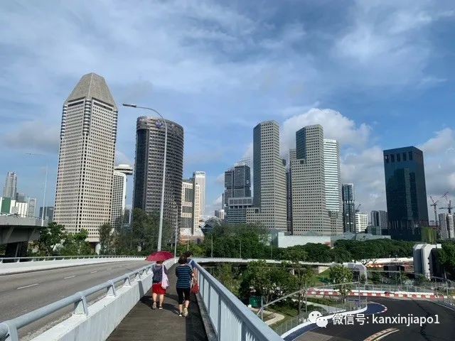 在新加坡最长的大桥上徒步是什么体验？