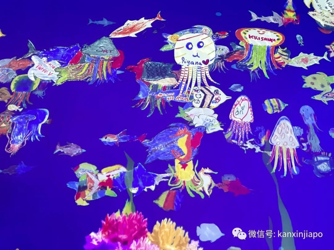 滨海湾的“白莲花” ——世界首个艺术科学相结合的博物馆