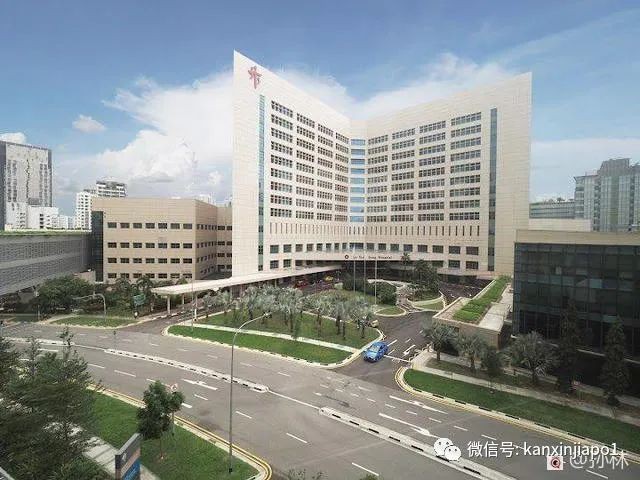 在新加坡腹痛，求医5次后，终于检查出了原因