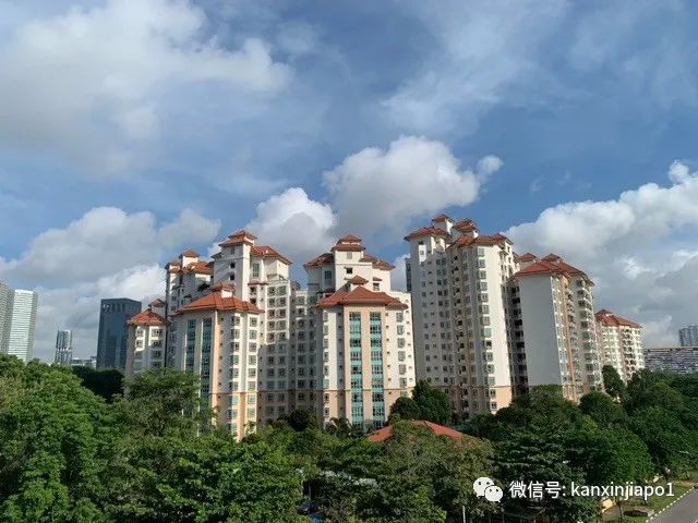 在新加坡最长的大桥上徒步是什么体验？