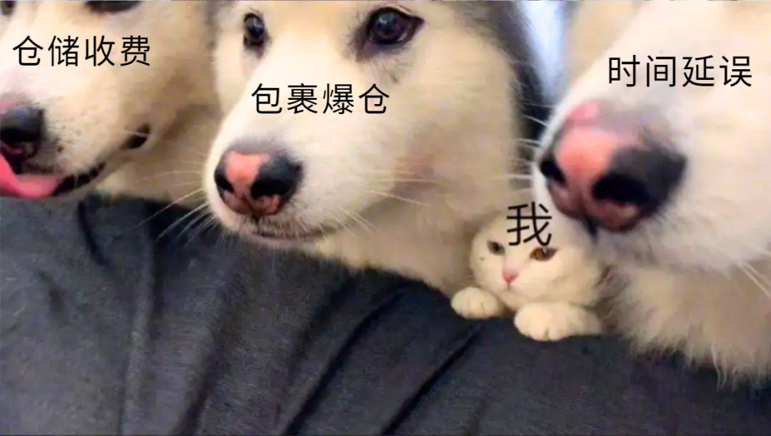 【炸裂】中国寄新加坡只要289元/方?新人还送100元优惠券?卷到这种程度?！