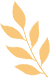 召集新加坡精品咖啡爱好者：和小羊一起Cheers!