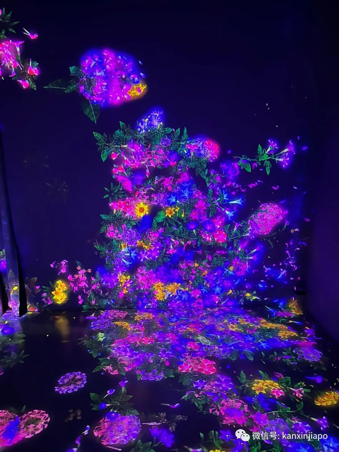 滨海湾的“白莲花” ——世界首个艺术科学相结合的博物馆
