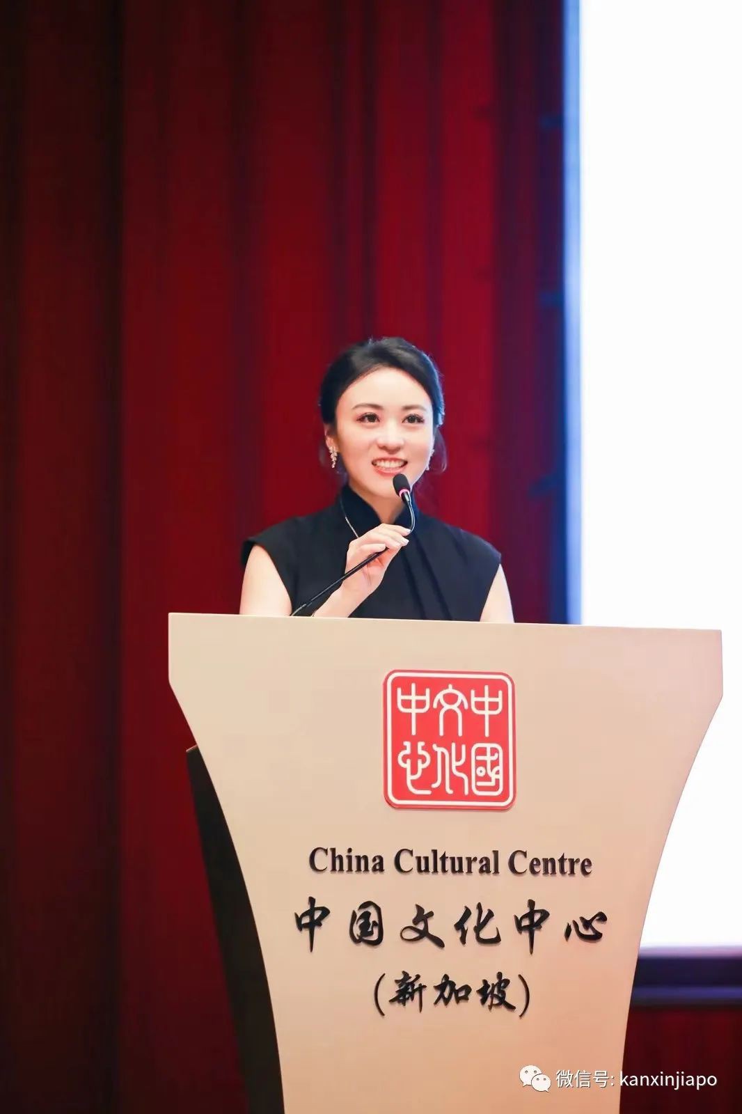 新中两国杰出代表齐聚!首届《跨国跨界系列论坛》在新加坡举行