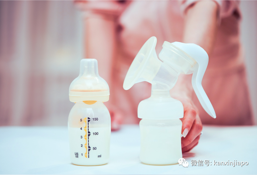 中国至新加坡海运289/每立方?集运寄件不踩雷,认准这九个优势