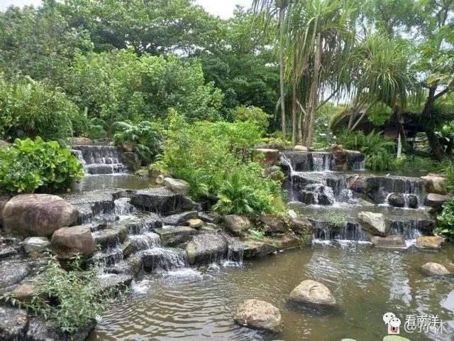 红树林、荷花池、水族缸...免费游滨海湾花园可以看这么多
