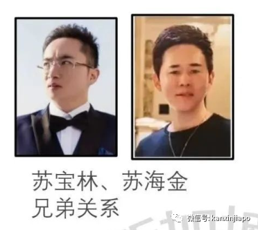 曾接受洗钱案嫌犯捐款,慈善机构检查过往4年记录