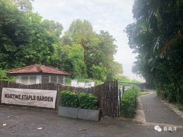 圣淘沙不仅有美景,还有历史~徒步西乐索炮台,寻找二战遗迹