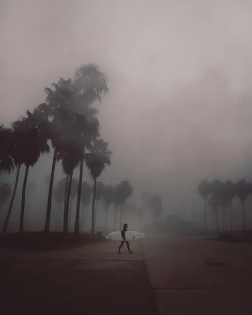 印尼大火,新加坡也遭殃了